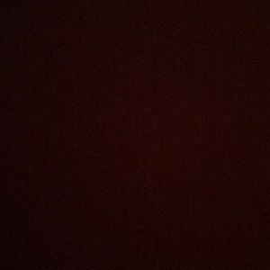 Meet your Posher, Sally